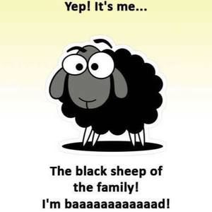 Meet your Posher, Sheila